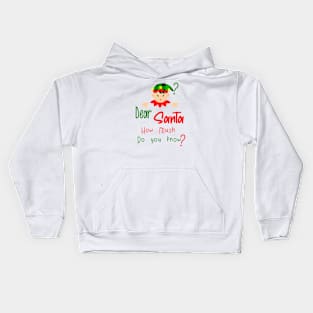 Christmas Santa how much you know Kids Hoodie